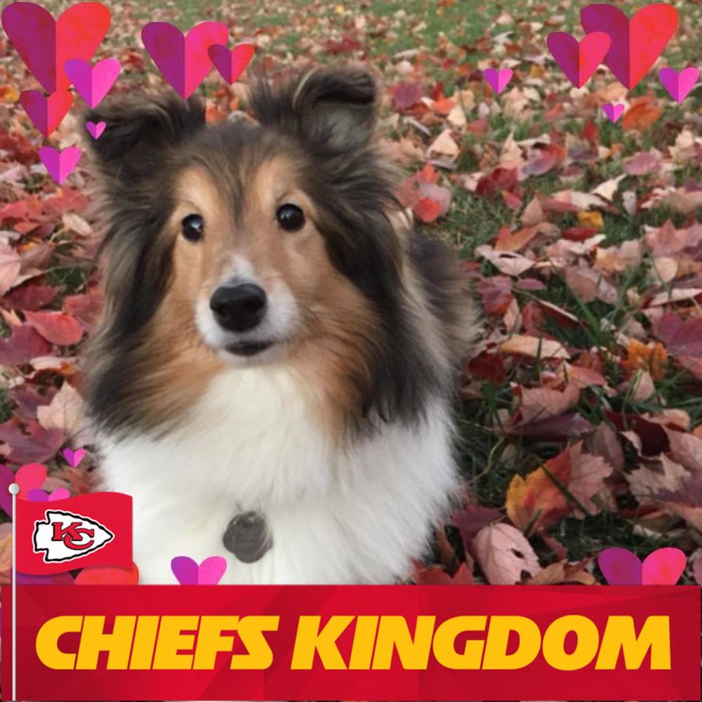 Meet your Posher, Susan